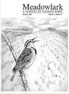 Meadowlark Volume 1 Issue 1 (1.1) 1992