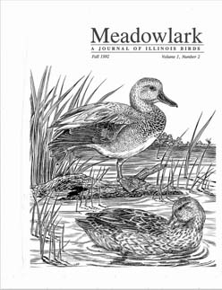 Meadowlark Volume 1 Issue 2 (1.2) 1992