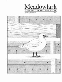 Meadowlark Volume 1 Issue 3 (1.3) 1992