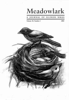 Meadowlark Volume 10 Issue 1 (10.1) 2001
