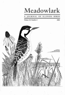 Meadowlark Volume 10 Issue 2 (10.2) 2001