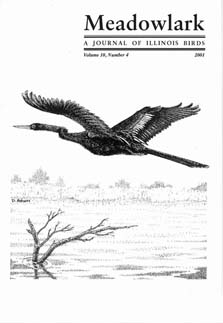Meadowlark Volume 10 Issue 4 (10.4) 2001