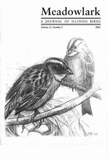 Meadowlark Volume 11 Issue 2 (11.2) 2002