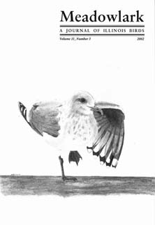 Meadowlark Volume 11 Issue 3 (11.3) 2002