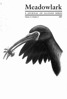 Meadowlark Volume 11 Issue 4 (11.4) 2002