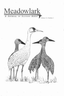 Meadowlark Volume 12 Issue 1 (12.1) 2003