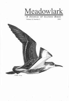 Meadowlark Volume 12 Issue 2 (12.2) 2003