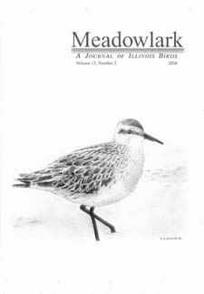 Meadowlark Volume 13 Issue 2 (13.2) 2004