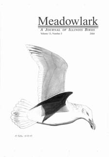 Meadowlark Volume 13 Issue 3 (13.3) 2004