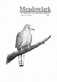Meadowlark Volume 15 Issue 2 (15.2) 2006
