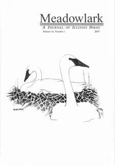 Meadowlark Volume 16 Issue 1 (16.1) 2007