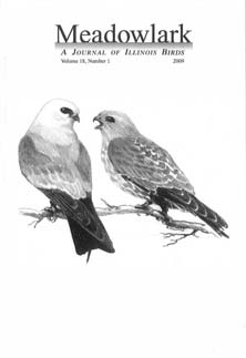 Meadowlark Volume 18 Issue 1 (18.1) 2009