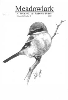 Meadowlark Volume 18 Issue 2 (18.2) 2009