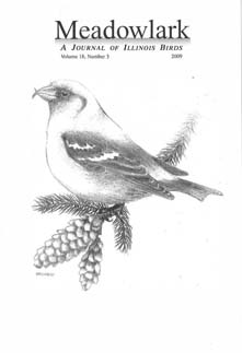 Meadowlark Volume 18 Issue 3 (18.3) 2009
