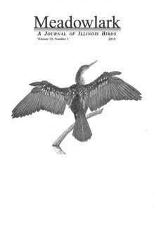 Meadowlark Volume 19 Issue 1 (19.1) 2010