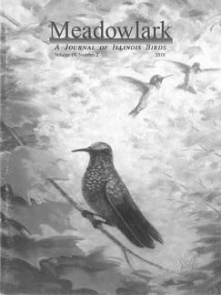 Meadowlark Volume 19 Issue 2 (19.2) 2010