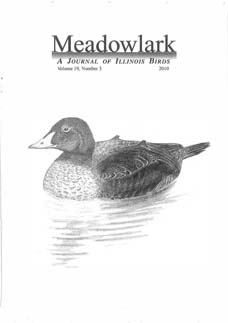 Meadowlark Volume 19 Issue 3 (19.3) 2010