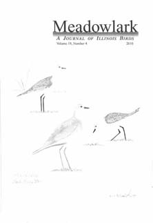 Meadowlark Volume 19 Issue 4 (19.4) 2010