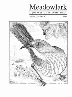 Meadowlark Volume 2 Issue 3 (2.3) 1993