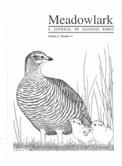 Meadowlark Volume 2 Issue 4 (2.4) 1993