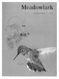 Meadowlark Volume 20 Issue 3 (20.3) 2011