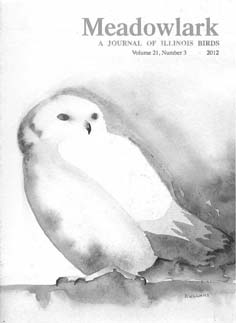 Meadowlark Volume 21 Issue 3 (21.3) 2012