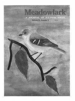 Meadowlark Volume 21 Issue 4 (21.4) 2012