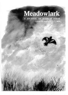 Meadowlark Volume 22 Issue 1 (22.1) 2013