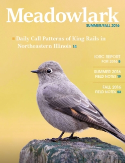 Meadowlark Volume 26 Issues 1-2 (26.1-2) 2016