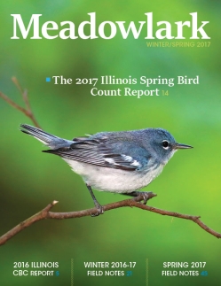 Meadowlark Volume 26 Issues 3-4 (26.3-4) 2016