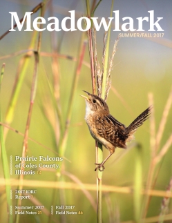 Meadowlark Volume 27 Issues 1-2 (27.1-2) 2017