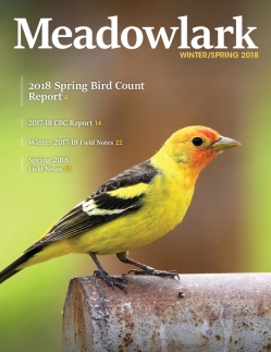 Meadowlark Volume 27 Issues 3-4 (27.3-4) 2017