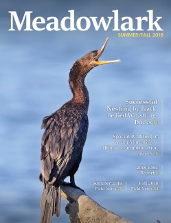 Meadowlark Volume 28 Issues 1-2 (28.1-2) 2018