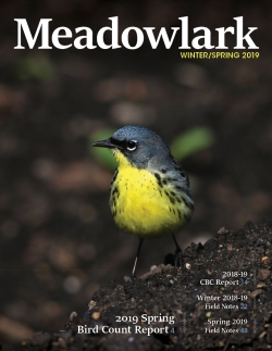Meadowlark Volume 28 Issues 3-4 (28.3-4) 2018