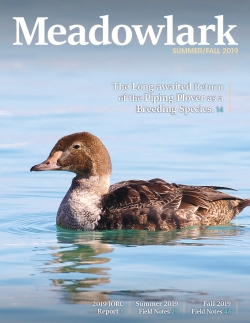 Meadowlark Volume 29 Issues 1-2 (29.1-2) 2019