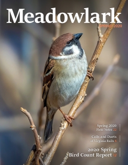 Meadowlark Volume 29 Issue 4 (29.4) 2019
