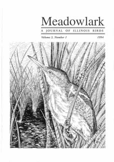 Meadowlark Volume 3 Issue 1 (3.1) 1994