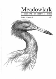 Meadowlark Volume 3 Issue 2 (3.2) 1994
