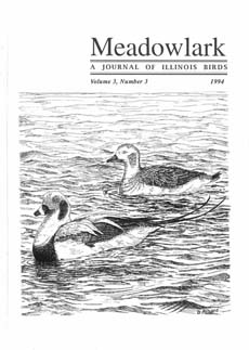 Meadowlark Volume 3 Issue 3 (3.3) 1994
