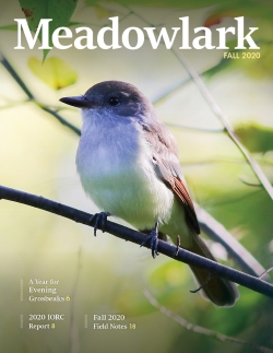 Meadowlark Volume 30 Issue 2 (30.2) 2020