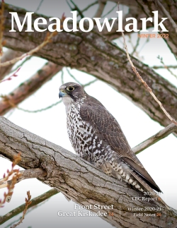 Meadowlark Volume 30 Issue 3 (30.3) 2020