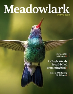 Meadowlark Volume 30 Issue 4 (30.4) 2020