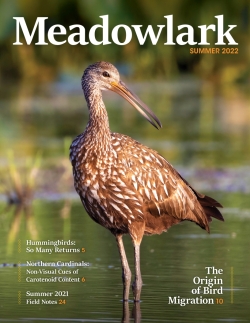 Meadowlark Volume 31 Issue 1 (31.1) 2022