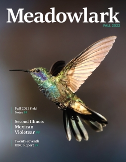 Meadowlark Volume 31 Issue 2 (31.2) 2022