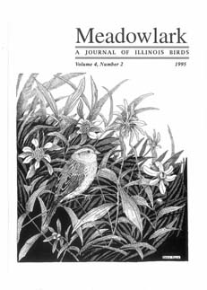 Meadowlark Volume 4 Issue 2 (4.2) 1995