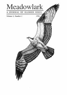 Meadowlark Volume 5 Issue 1 (5.1) 1996
