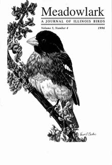 Meadowlark Volume 5 Issue 4 (5.4) 1996