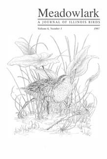 Meadowlark Volume 6 Issue 1 (6.1) 1997