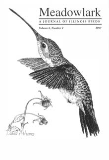 Meadowlark Volume 6 Issue 2 (6.2) 1997