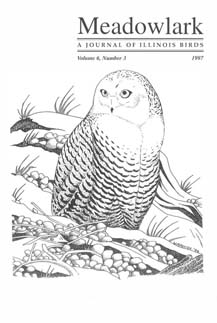 Meadowlark Volume 6 Issue 3 (6.3) 1997